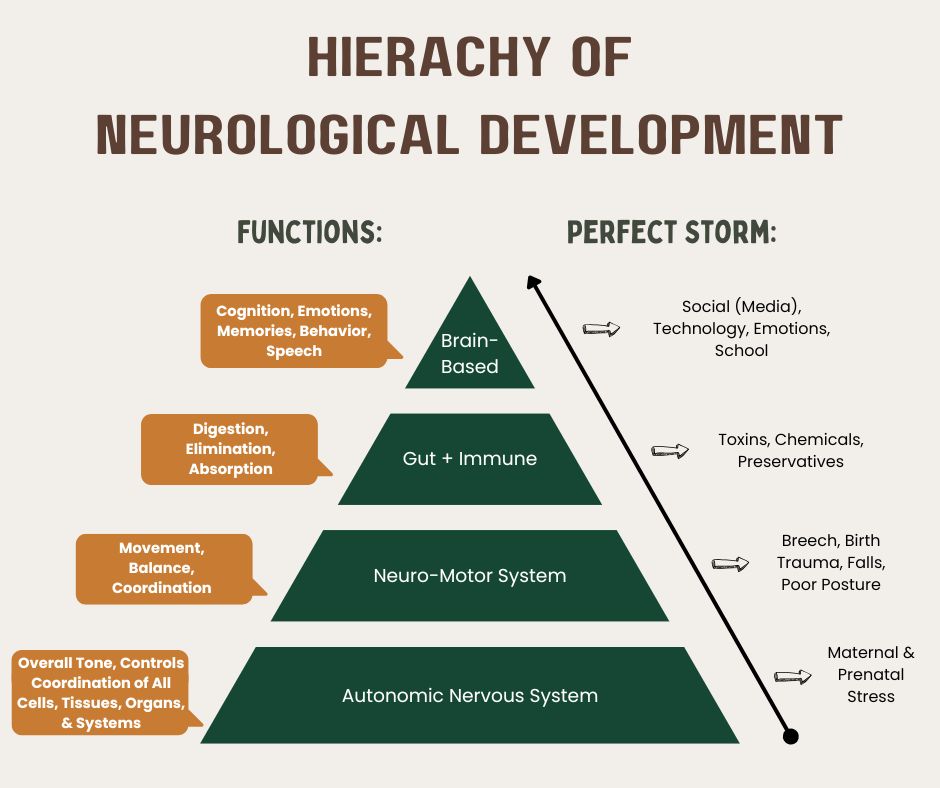 Website Visual - Chiro